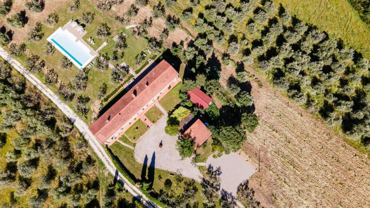 Villa Monnalisa 12, Emma Villas Vinci Exterior foto